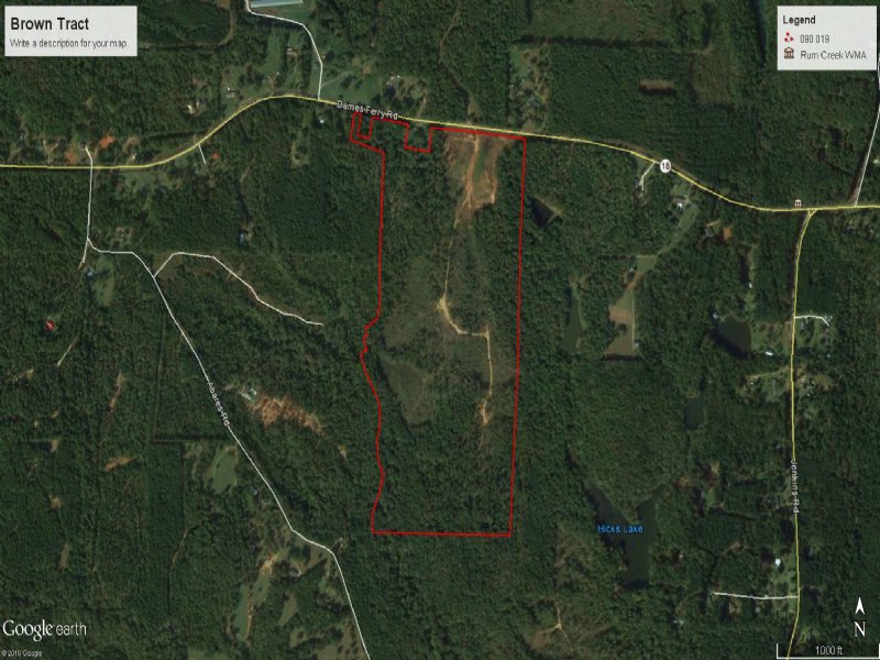 100 Ac Recreational / Timber Tract : Forsyth : Monroe County : Georgia