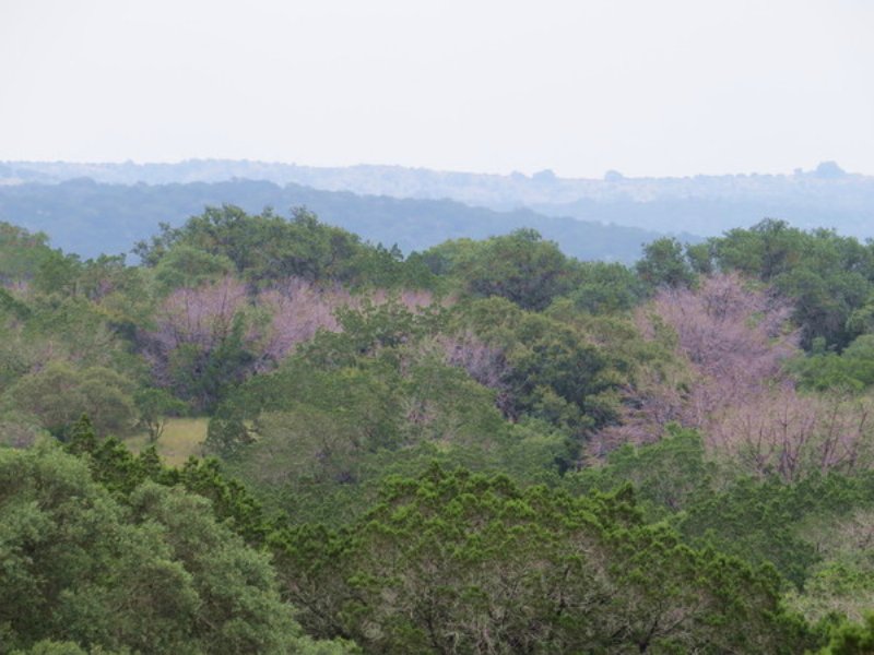 Pinon Canyon Ranch 37 Acres : Rocksprings : Edwards County : Texas