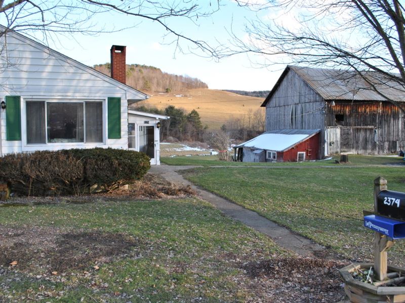 156 Acres Former Dairy Farm in Ny : Newark Valley : Tioga County : New York