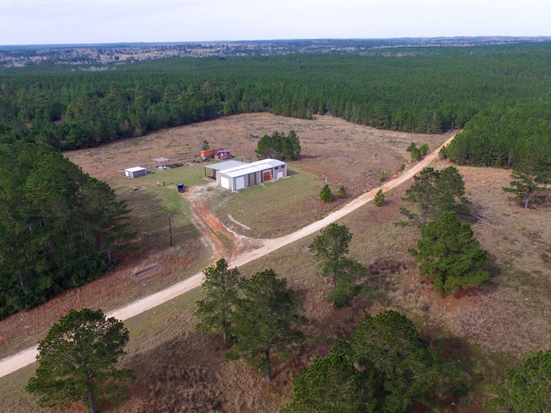 536 Acres Of Woodville Timber : Woodville : Tyler County : Texas