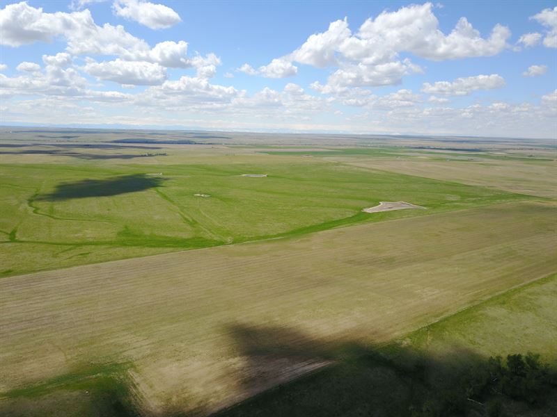 Comanche Creek Farm, Ranch and Recr : Bennett : Elbert County : Colorado