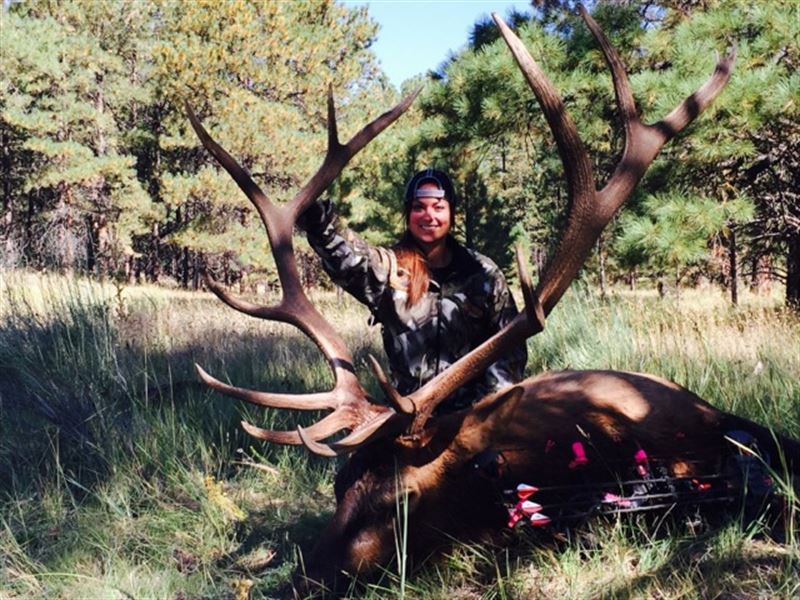 Ol' Man Ranch : Grants : Cibola County : New Mexico