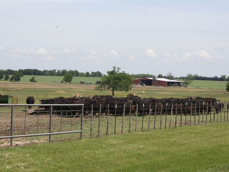 1610 Acre Ranch : Honey Grove : Lamar County : Texas