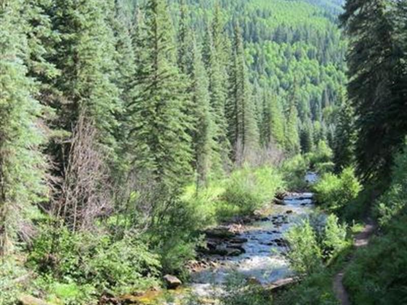 Colorado 40 Ac Mining Claim W/Creek : Granby : Grand County : Colorado