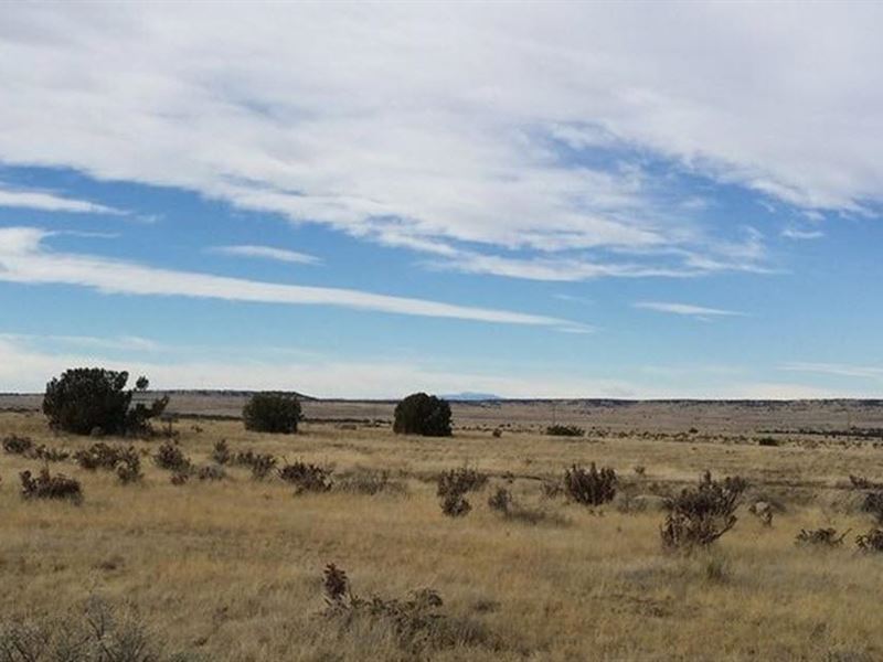 37 Acres Thatcher Pinon Canyon, CO : Thatcher Pinon Canyon : Las Animas County : Colorado