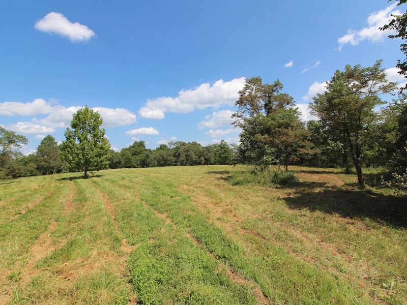 Woodie Rd - 177 Acres : Ranch for Sale in Perry, Gallia ...