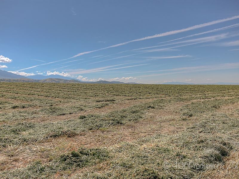 Spring Creek Elk Ranch : Townsend : Broadwater County : Montana