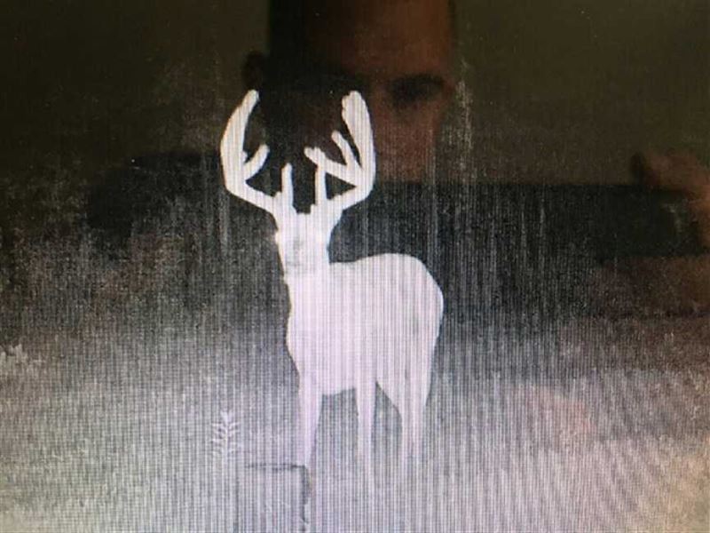 Big Cavern Lodge 583 Acres Pulaski : Dixon : Pulaski County : Missouri