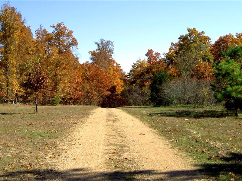 10 Acres, Wooded, Hunt / Homestead Ranch for Sale by Owner in Drury