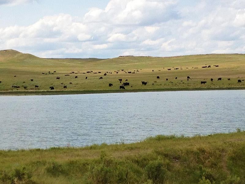 Antelope Springs Ranch : Cohagen : Garfield County : Montana