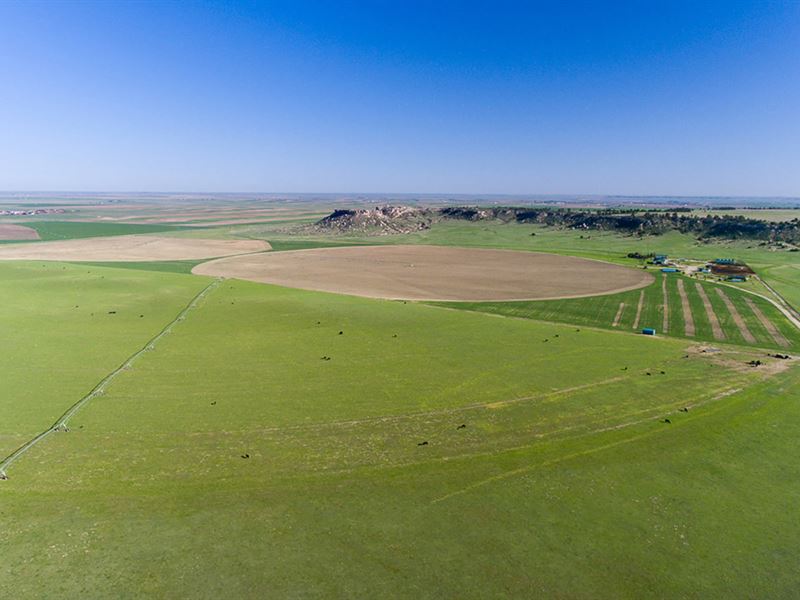 Diamond K Ranch : Pine Bluffs : Laramie County : Wyoming