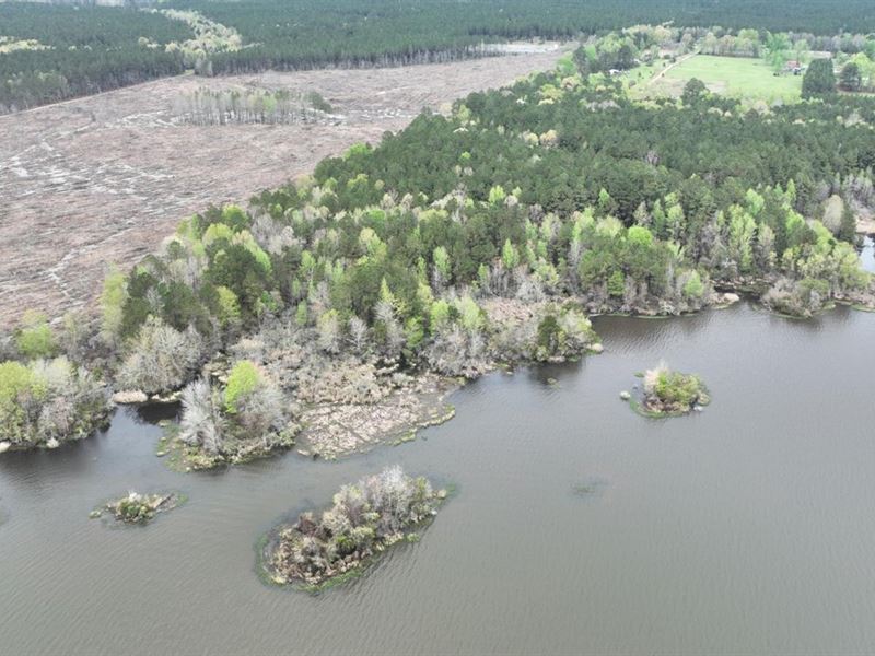 Grand Bayou Tract, Red River Parish : Coushatta : Red River Parish : Louisiana