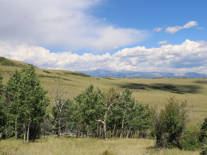 Cap Rock Ranch, Ranch for Sale in Colorado, #152924 : RANCHFLIP