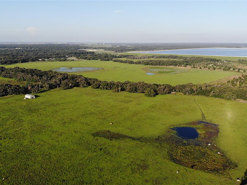 Alafia Ranch in Lithia, Florida : Fish Hawk : Hillsborough County : Florida