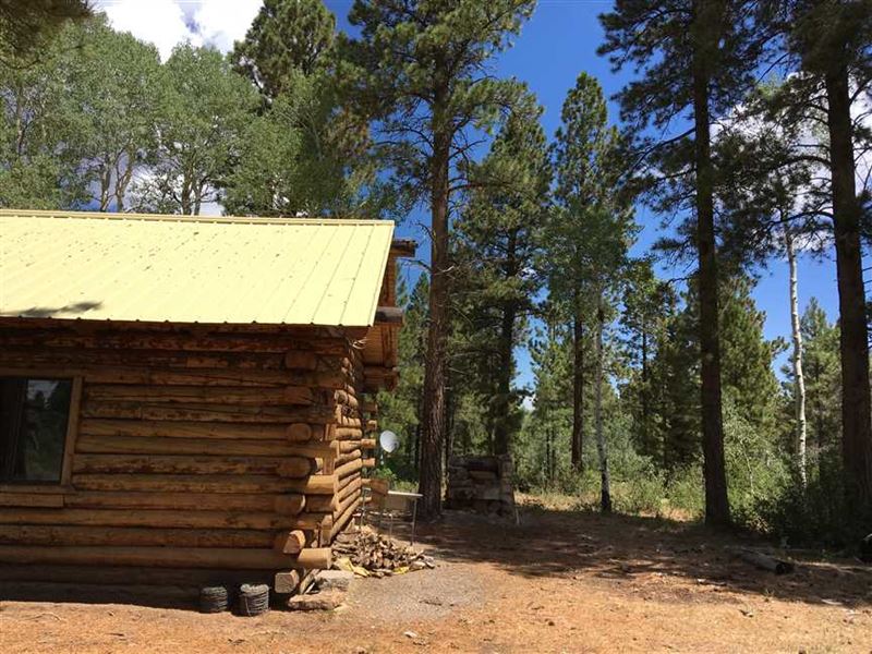 Log Cabin on Uncompahgre Plateau : Delta : Montrose County : Colorado