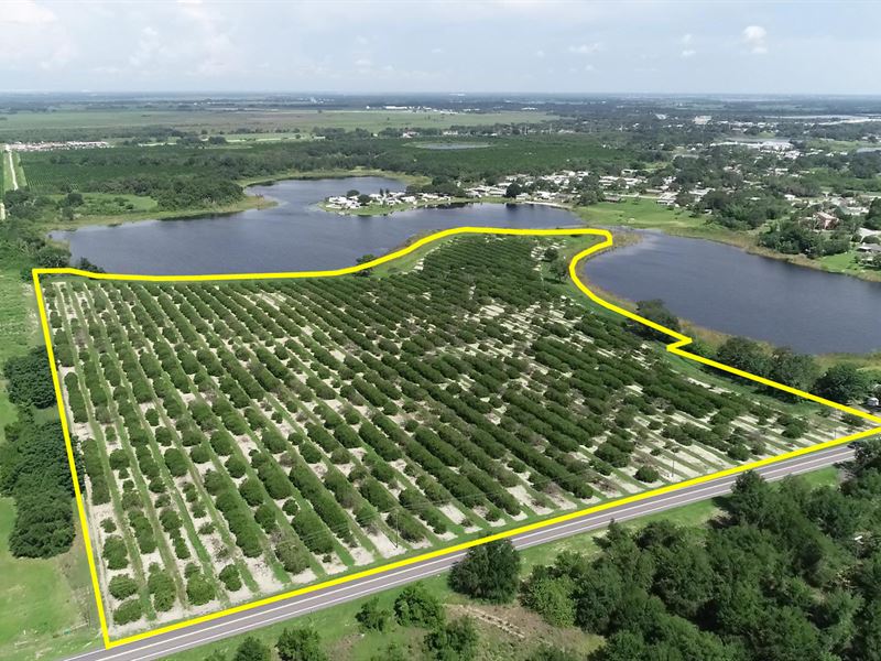 32-acres-residential-development-ranch-for-sale-in-lake-wales-polk