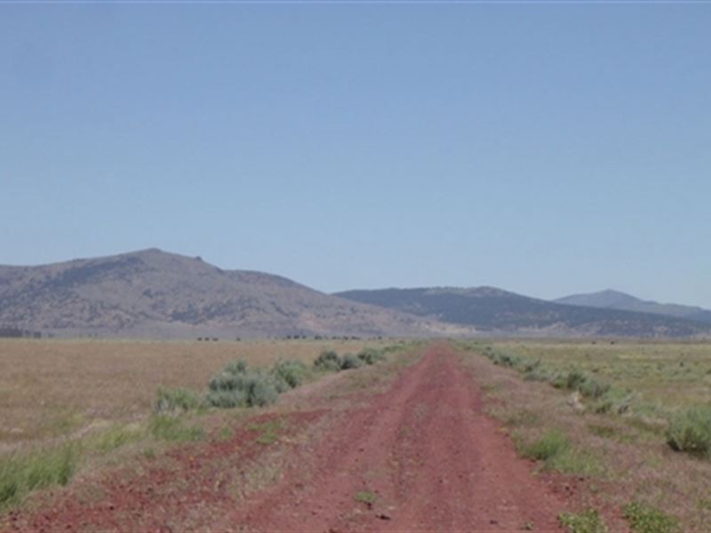 California, Lassen County : Termo : Lassen County : California