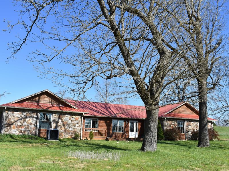 Arkansas Ozarks Horse Ranch Salem : Sturkie : Fulton County : Arkansas