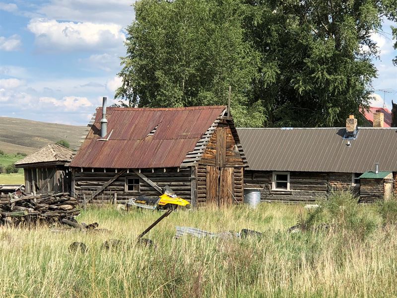 Sustainable Cattle Ranch Gunnison : Gunnison : Gunnison County : Colorado