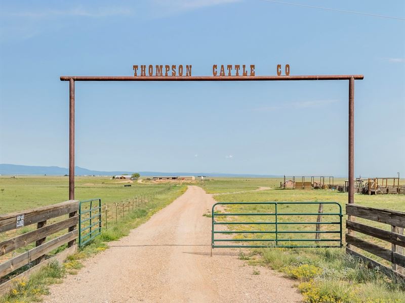 36 HQ Photos Country Roads Cattle Sale - 2260 Acre Cattle Ranch & Timber : Ranch for Sale in Rose ...