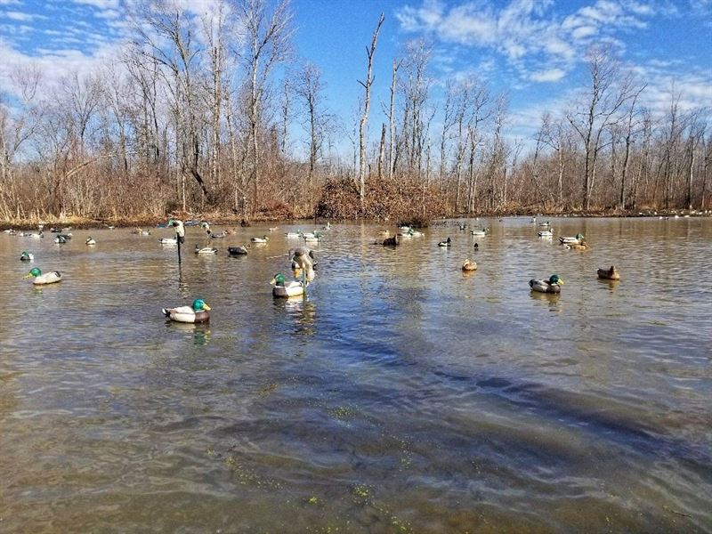 West Tennessee Duck Hunting Land : Trenton : Gibson County : Tennessee