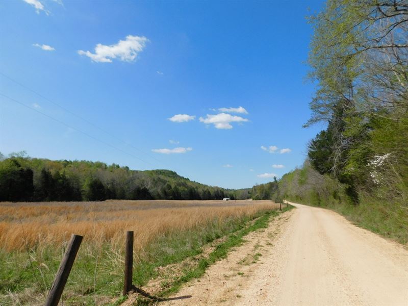 Off Grid TN Land Home, Creeks : Clifton : Wayne County : Tennessee