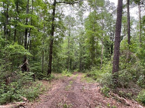 Alabama Ranches for Sale : Page 19 of 37 : RANCHFLIP