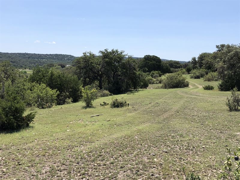 Exotics, Low Down, Great Access : Rocksprings : Edwards County : Texas