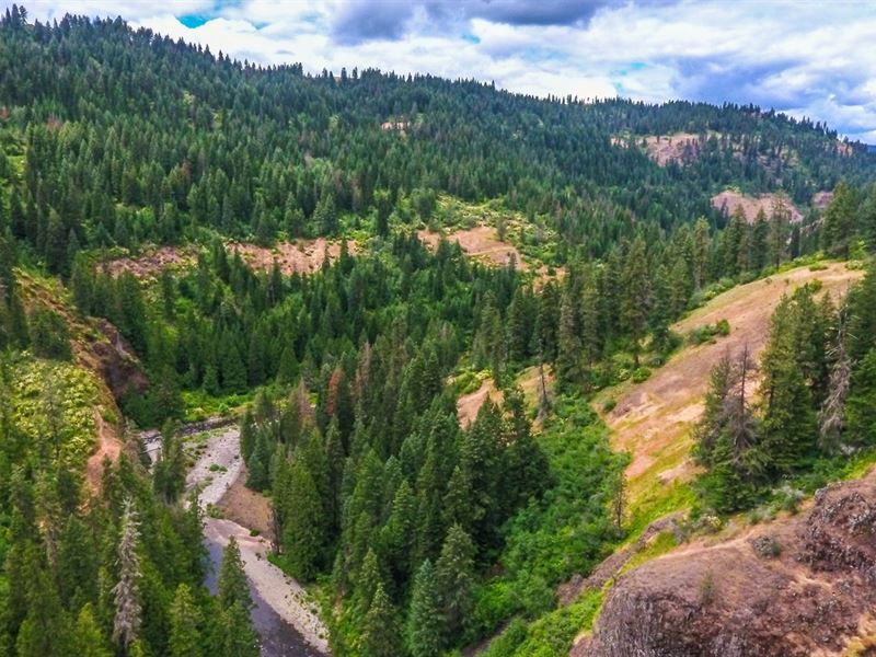 Recreation Property, River Frontage : Deary : Latah County : Idaho