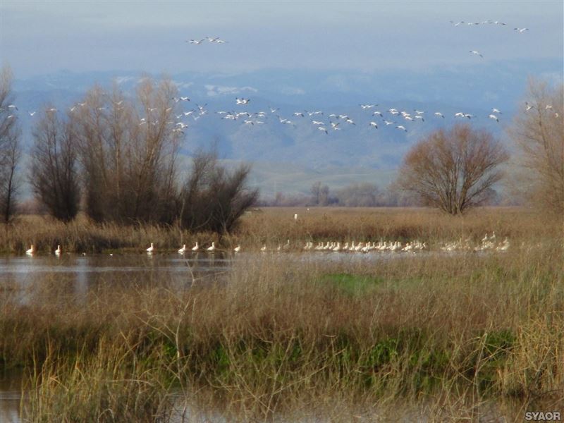 Duck Club, Cabin in Northern CA : Princeton : Colusa County : California