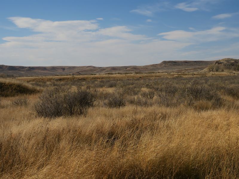 Hall Ranch : Gillette : Campbell County : Wyoming