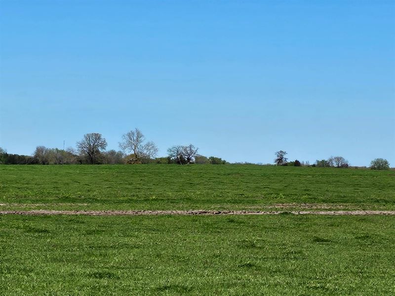 Butterfield Crossing Ranch Johnston : Coleman : Atoka County : Oklahoma