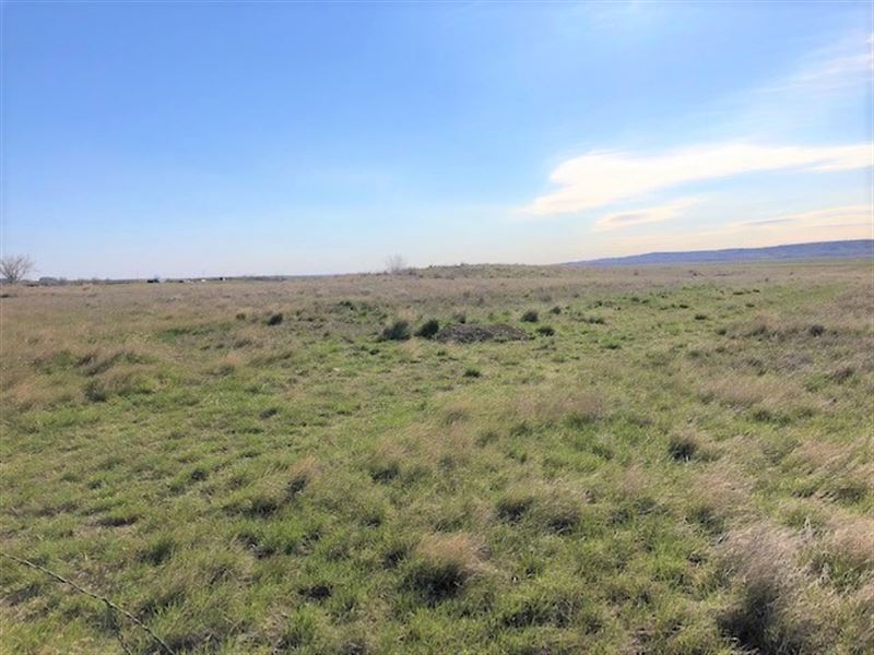 Lots Sleeping Buffalo, Ranch for Sale in Montana, #194255 : RANCHFLIP