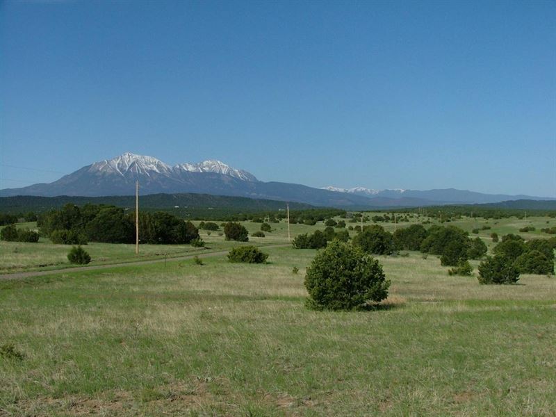 70 Silver Spurs Ranch : Walsenburg : Huerfano County : Colorado