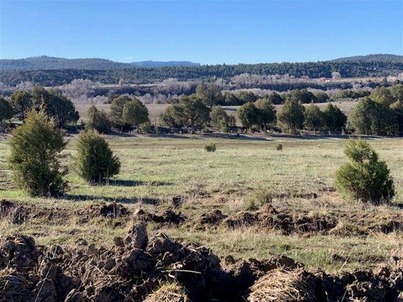 Northern NM Irrigated Land Water : Rutheron : Rio Arriba County : New Mexico