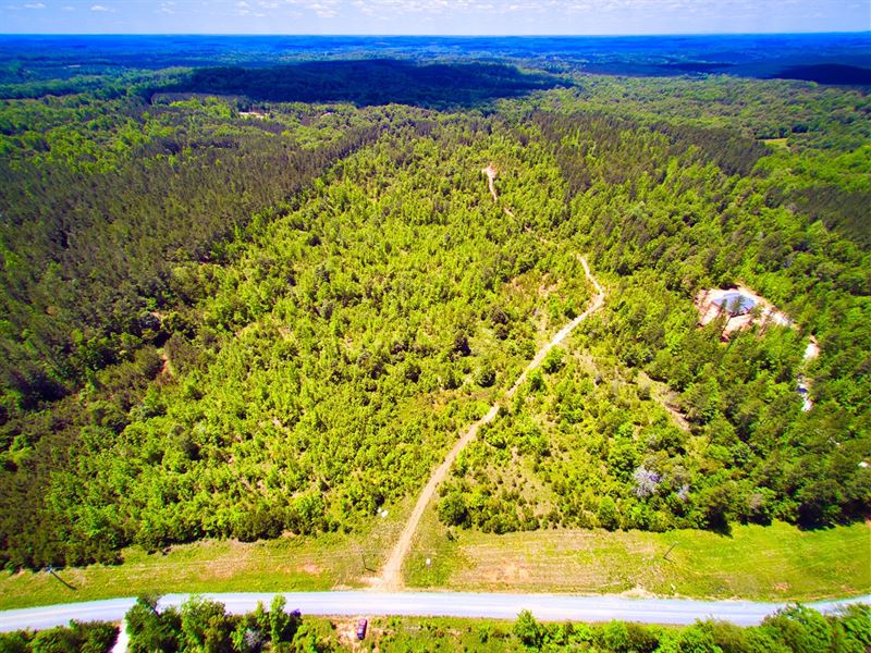 Acreage for Sale Near McConnells SC : McConnells : York County : South Carolina