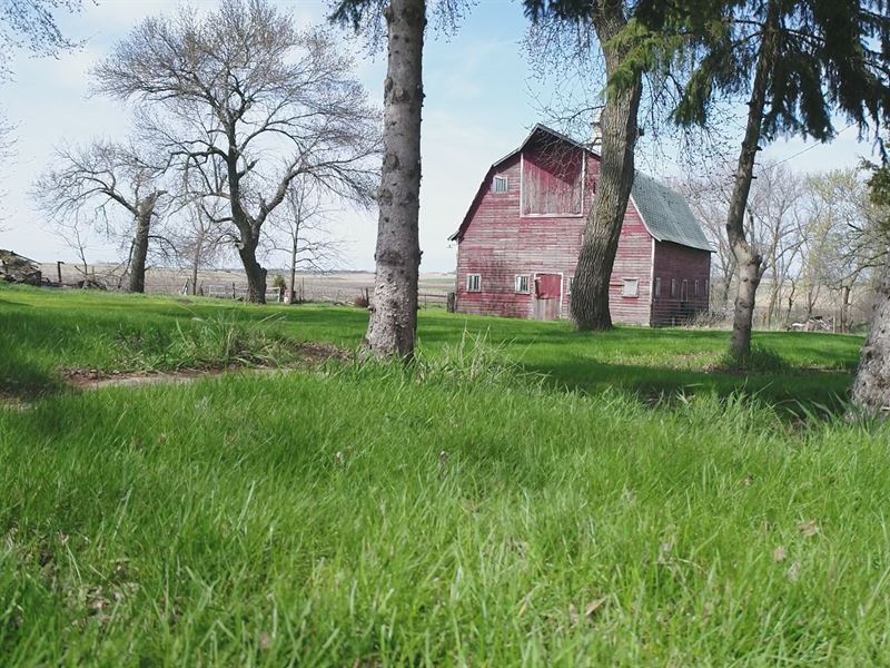 80 Acres Cropland & Acreage Site : Volga : Lake County : South Dakota