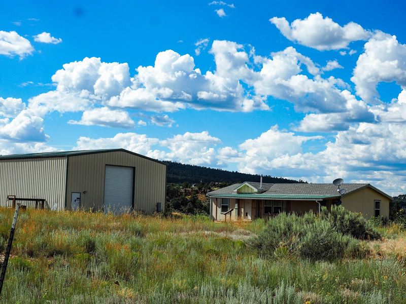 Country Home Acreage El Vado Lake : Tierra Amarilla : Rio Arriba County : New Mexico