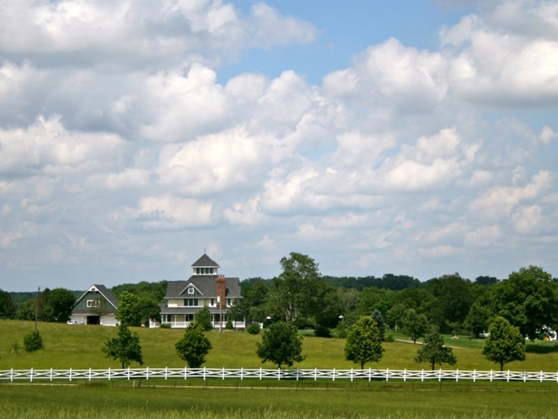 Missouri's Finest Cattle Ranch : Montgomery City : Callaway County : Missouri