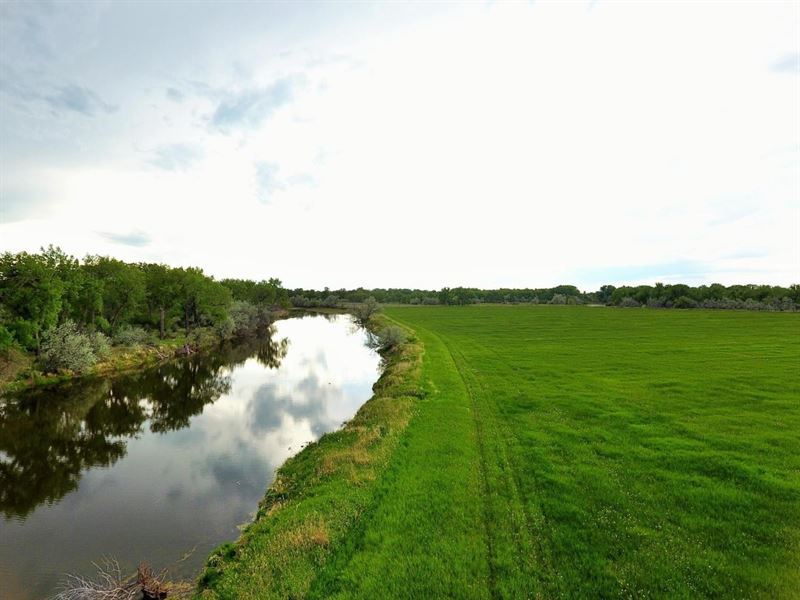 Milk River Farmland : Harlem : Blaine County : Montana