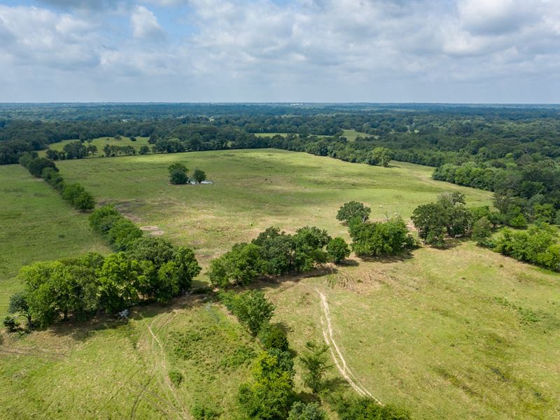 east-texas-pasture-land-hardwoods-ranch-for-sale-in-emory-rains