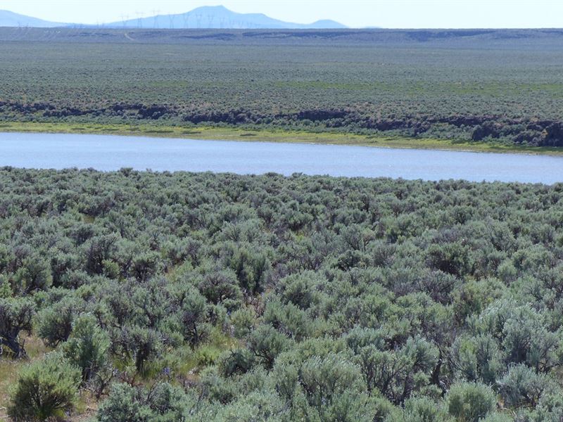 160 Acres Southwest Of Burns Oregon : Burns : Harney County : Oregon