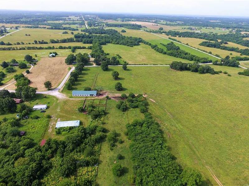 Cattle Ranch in Willard, Missouri : Willard : Greene County : Missouri