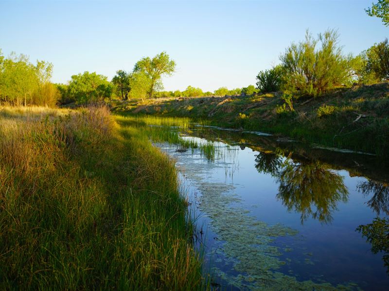 Cimarron Valley Ranch : Campo : Baca County : Colorado