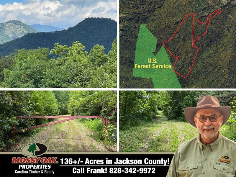 136 Acres Beautifly Wooded Land : Cullowhee : Jackson County : North Carolina