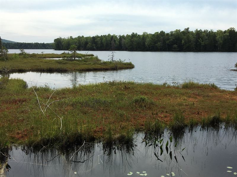 Lakefront Land in Lincoln, Maine : Lincoln : Penobscot County : Maine