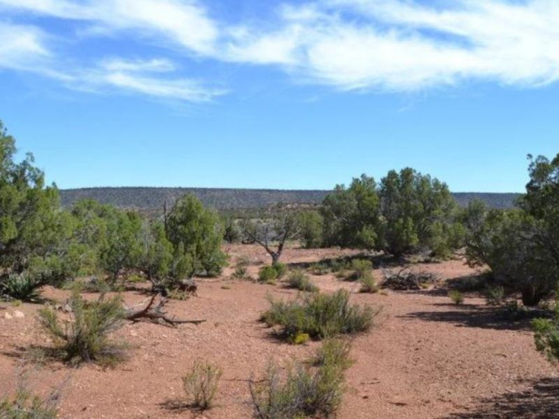 Covered in Junipers Snowflake Az, Ranch for Sale by Owner in Arizona ...