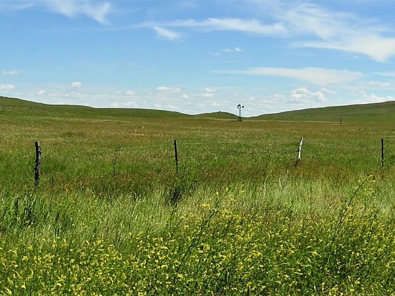 Nebraska Sandhills Cattle & Elk, Ranch for Sale in Nebraska, #221306 ...