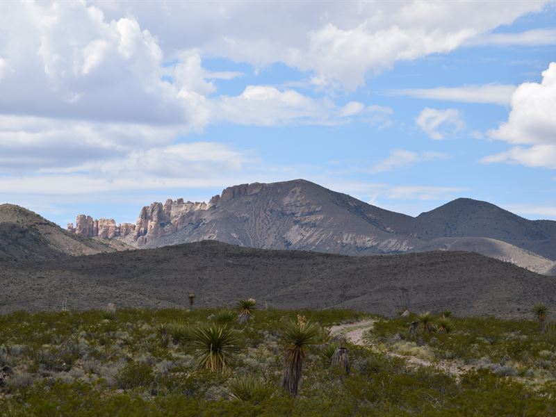 20+ Acres & Ranch Hunting Rights : Van Horn : Hudspeth County : Texas