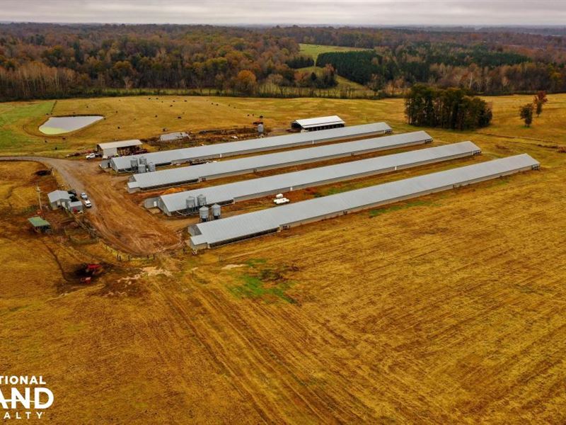 poultry farm for sale in taylorsville nc